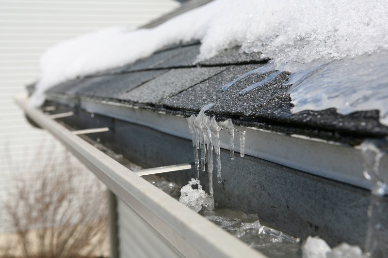 Ice on roof and gutters