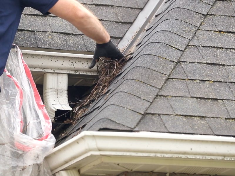 A man is cleaning a clogged roof gutter from dirt, debris and fallen leaves to prevent water damage and let rainwater drain properly